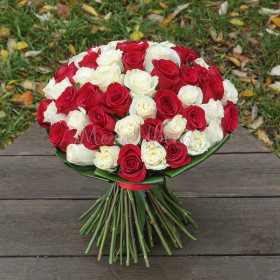 55 Белых и Красных Роз (50 см.) фото