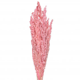 Булгур розовый сухоцвет (1 ветка) фото