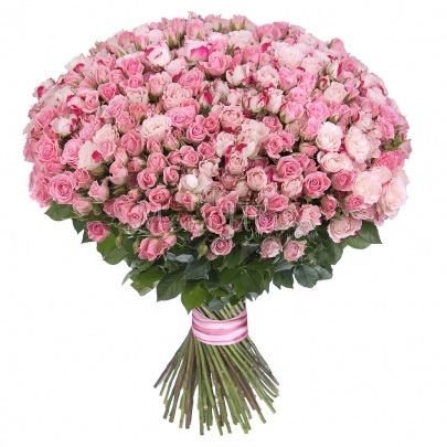 101 Кустовая Розовая Роза (50 см.) фото
