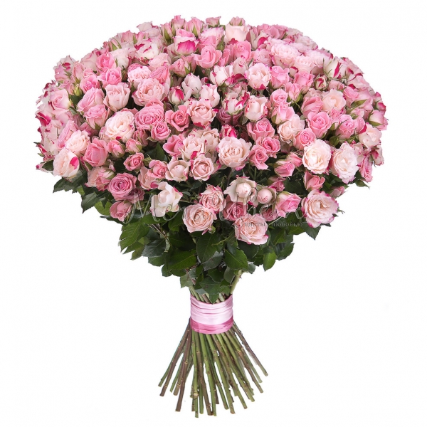 

75 Кустовых Розовых Роз (50 см.)