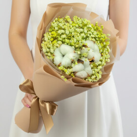 Букет "Гипсофила и Салатовый Хлопок" мини сухоцвет фото