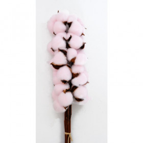 Хлопок Розовый на палке сухоцвет оптом (1 штука) фото