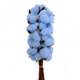 Хлопок Синий на палке сухоцвет оптом (1 штука) фото