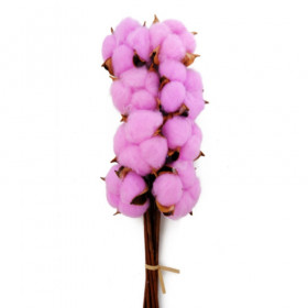 Хлопок Ярко-Розовый на палке сухоцвет оптом (1 штука) фото