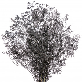 Кермек черный сухоцвет (1 ветка) фото