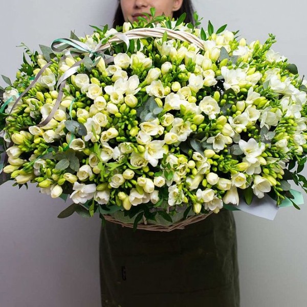 

Корзина "301 Белая Фрезия"