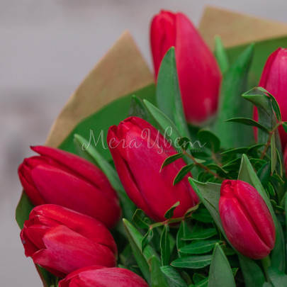 19 Красных Тюльпанов с зеленью фото изображение 2