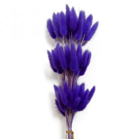 Лагурус Фиолетовый сухоцвет оптом (1 штука) фото
