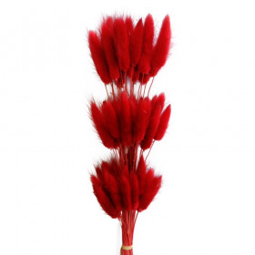Лагурус Красный сухоцвет оптом (1 штука) фото