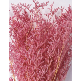 Лимониум крупноцветковый Purple сухоцвет (1 пучок) фото