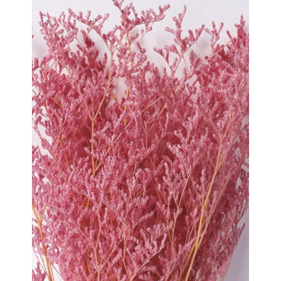 Лимониум крупноцветковый Purple сухоцвет (1 пучок) фото