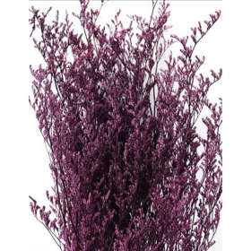 Лимониум крупноцветковый Magenta Fuchsia сухоцвет оптом (1 пучок) фото