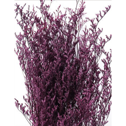 Лимониум крупноцветковый Magenta Fuchsia сухоцвет оптом (1 пучок) фото