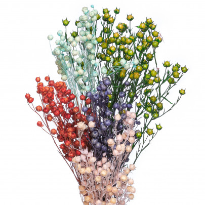 Лён микс сухоцвет (1 ветка) фото
