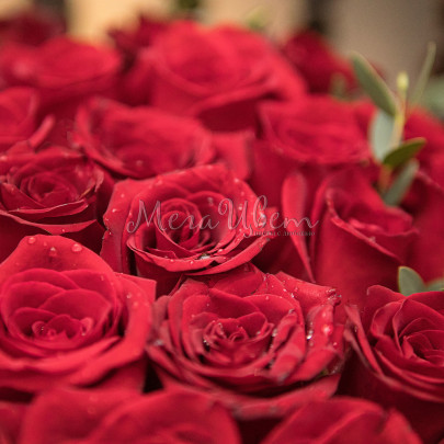 45 Красных Роз (40 см.) в коробке фото изображение 3