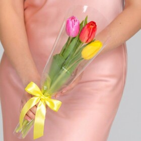 3 Разноцветных Тюльпана Микс в прозрачной пленке под ленту (Корпоративный)