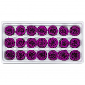 Роза Фиолетовая (2-3 см.) оптом стабилизированная (1 штука) фото