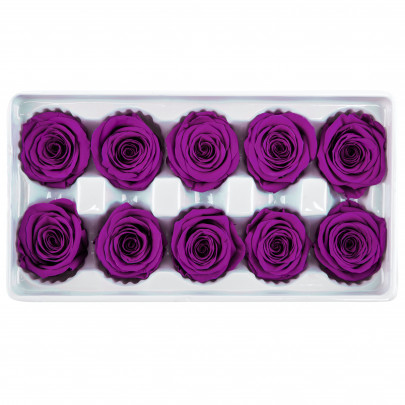 Роза Фиолетовая (4-5 см.) оптом стабилизированная (1 штука) фото