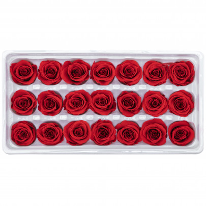 Роза Красная (2-3 см.) оптом стабилизированная (1 штука) фото