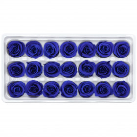 Роза Синяя (2-3 см.) оптом стабилизированная (1 штука) фото