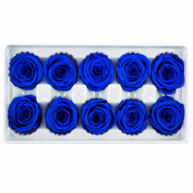 Роза Синяя оптом (4-5 см.) стабилизированная фото
