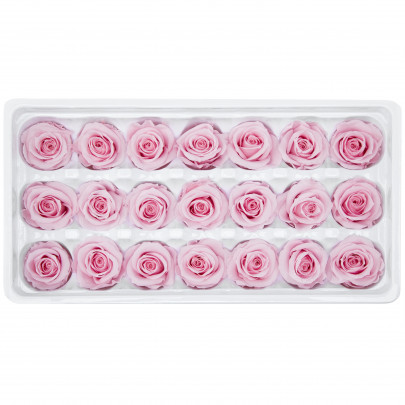 Роза Светло-Розовая оптом (2-3 см.) стабилизированная (1 штука) фото