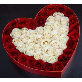51 Белая и Красная Роза (40 см.) в коробке сердце фото