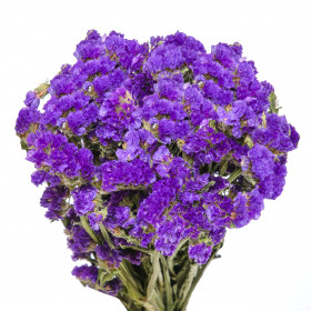 Статица Фиолетовая сухоцвет (1 ветка) фото