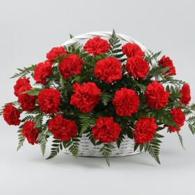 Траурная Композиция из Гвоздики Красной и папоротника в корзине фото