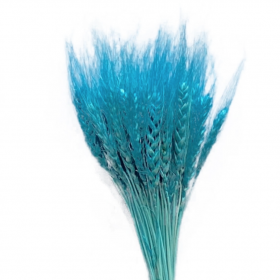 Тритикум Голубой с остями сухоцвет оптом (1 штука) фото