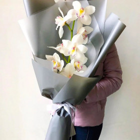 Ветка Белой Орхидеи фото
