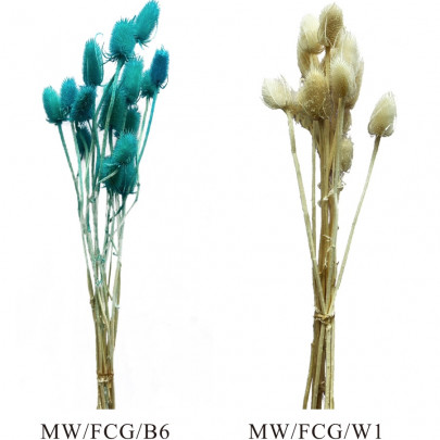 Ворсянка средняя микс сухоцвет (1 ветка) фото изображение 3