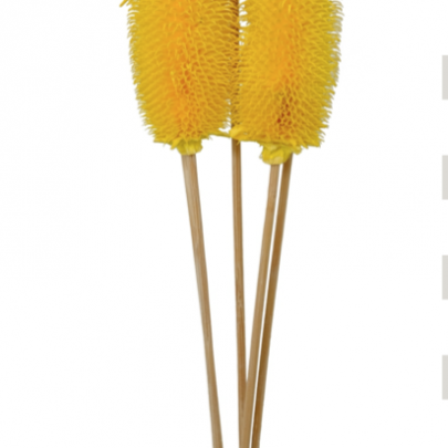 Ворсянка крупная сухоцвет (1 ветка) фото изображение 5