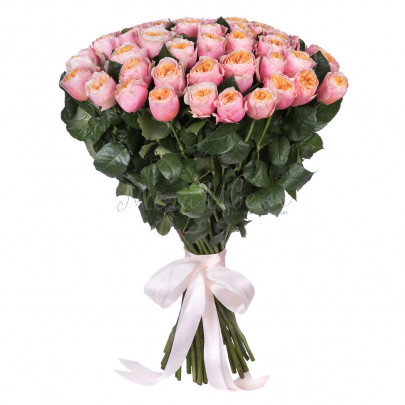 51 Пионовидная Розовая Роза (60 см.) фото
