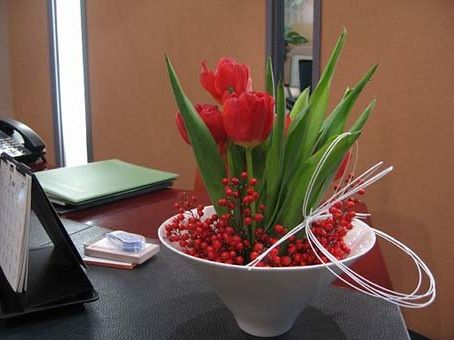 Как выбрать цветы в офис